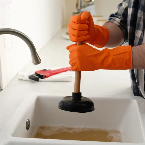 Image showing Unclog Drains, Sinks, and Toilets.